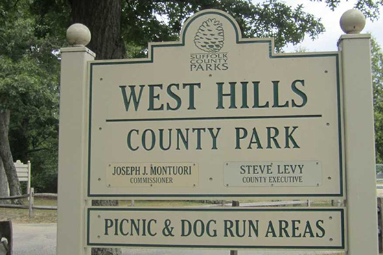 West Hills