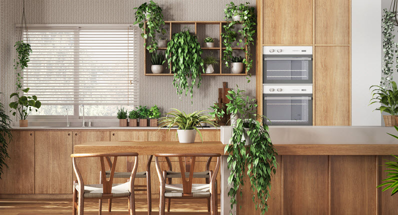 Biophilic Kitchen Design
